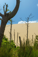 Dune of Pilat 1