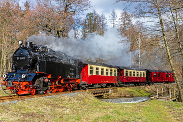 Harzer Schmalspurbahn im Selketal Harz