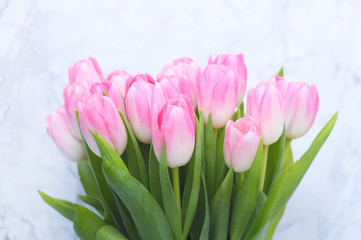 Fototapeta premium Pink tulips on white marble background.Easter,spring flower concept,copy space.Mothers or Womans day.