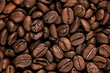 Roasted coffee beans background texture