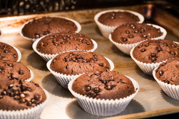 Homemade freshly baked chocolate cupcakes in the oven.