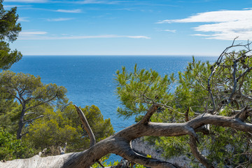 Amazing viewpoint on the cliffs, Calanques National Park near Cassis, Provence, South France, Europe