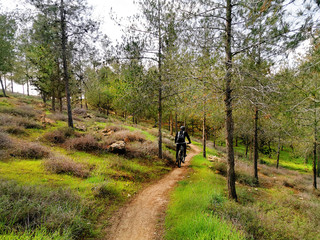 Fototapeta premium Mountain biker rides in a forest on the hills
