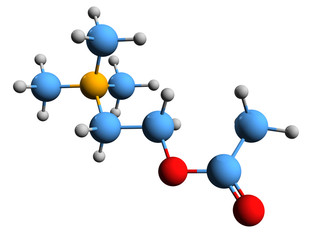 Obraz premium 3D image of acetylcholine skeletal formula - molecular chemical structure of neurotransmitter ACh isolated on white background