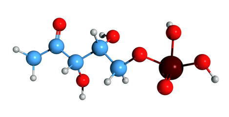 3D image of 1-Deoxy-D-xylulose 5-phosphate skeletal formula - molecular chemical structure of metabolite isolated on white background