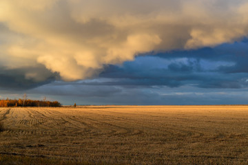 dry field under the autumn evening sky