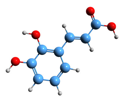 3D image of 2 3-dihydroxy cinnamic acid skeletal formula - molecular chemical structure of  hydroxycinnamic caffeic acid isolated on white background