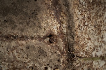 NATURAL TEXTURES