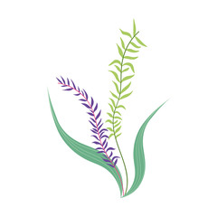 foliage greenery vegetation plants leaves nature icon design