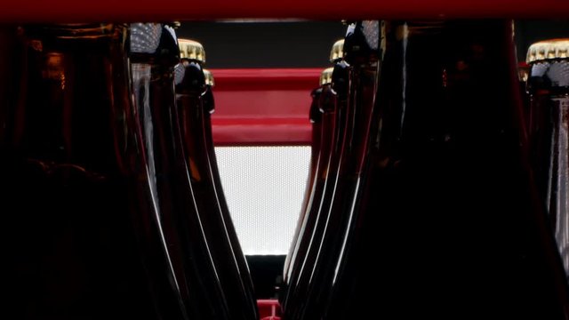 closed beer bottles in a row in a box close-up