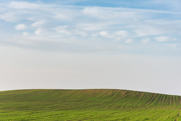 Blue, cloudy sky and green wavy field with visible traces of agricultural works.