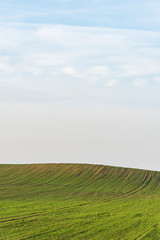 Obraz premium Blue, cloudy sky and green wavy field with visible traces of agricultural works.