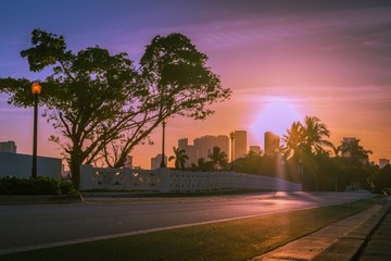 highway city night street tree miami downtown highway circulation florida sky buildings auto lighting sun architecture sunset driving skyline transportation sunrise