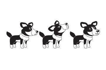 Fototapeta premium Set of cartoon character american shepherd dog poses for design.