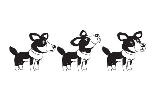 Set of cartoon character american shepherd dog poses for design.