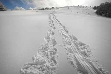Traces of tourists on snowshoes.