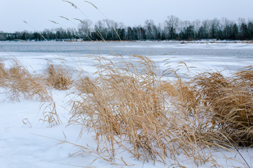 winter landscape in bad weather