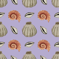 Seamless pattern with sea shells. Hands gouache illustration. Marine pattern, design for wallpaper, fabrics, textiles, packing.