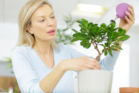 Mature Woman Watering A Plant