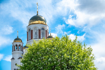 Fototapeta na wymiar Blooming apple tree against the background of the Orthodox Church and the blue sky. Temple-on Blood, Yekaterinburg, Russia