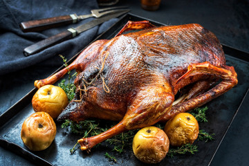 Traditional roasted stuffed Christmas goose with apples and herbs as closeup on a rustic metal tray...