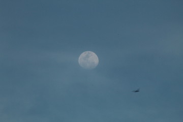  the moon in a late afternoon