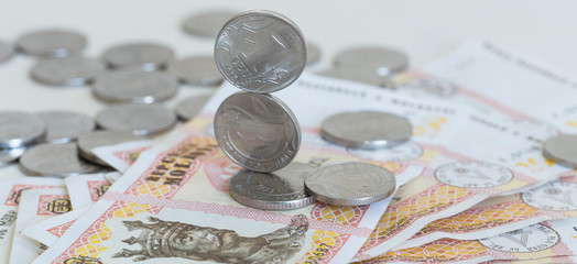 Cash of the Republic of Moldova. Leis are banknotes and coins, which are a tool of the Moldovan banking system.