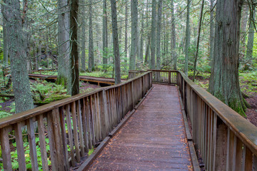 Glacier National Park