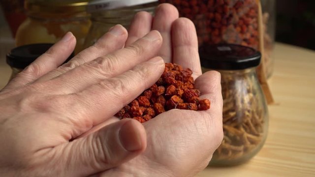 Dry rowan berries in the palm of a man. Healthy homemade nutrition spices and ingredients.  Natural food products of vegan placed in glass jars are visible at the back.