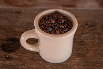 Coffee Beans in Cup