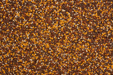 Small orange and brown mixed with yellow rocks texture background.