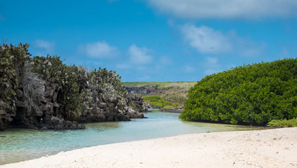 Fototapeta na wymiar Remote sandy beaches on Genovesa Island, Galapagos Islands, Ecuador