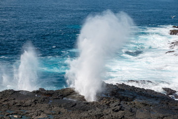 The Pacific ocean surf generate huge geyser-line water towers through blow holes on Espanola Island, Galapagos Islands, Ecuador