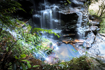 Fototapeta premium Waterfall in the forest, Blue Mountains, Australia