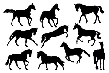 Adult race horses silhouettes. Clip art black and white