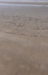 the transition from the sea to the land. sea floor with prints of small waves at low tide, wet sand beach