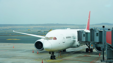 Naklejka premium Beautiful new plane at the passenger airport. landing people in a white planes. Retractable gangway. gate, turbine wing, travel