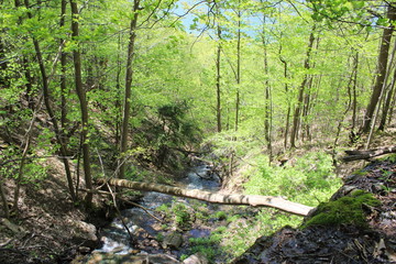 Waterfall by lake