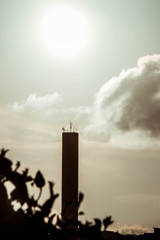 smoke from chimney on a background of night sky