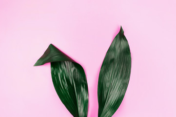 Rabbit ears made of natural green tropical leaves on pink pastel background. Easter creative...