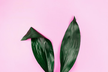 Rabbit ears made of natural green tropical leaves on pink pastel background. Easter creative concept.
