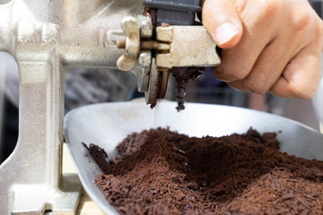 person hand grinding roasted cocoa beans
