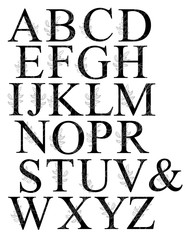 Floral graphic alphabet art. Combination of black letters and line art branch to create delicate designs for weddings, logotype, greeting cards, mood boards, magazines