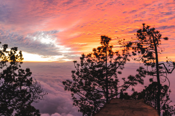 Acatenango Fire Sunset