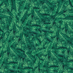green leave texture fresh  spring nature  design abstract  background