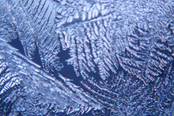 Naklejka premium Photographing macro ice on the glass in winter Patterned like leaves
