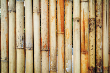 bamboo fence texture background for design