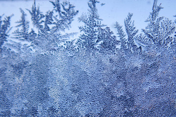 Photographing macro ice on the glass in winter Patterned like leaves