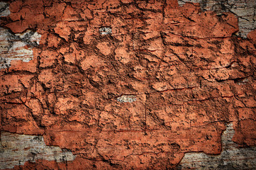 grunge brown  texture  background
