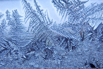 Photographing macro ice on the glass in winter Patterned like leaves